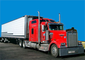 BrandFloors - $99.00 Shipping Sitewide